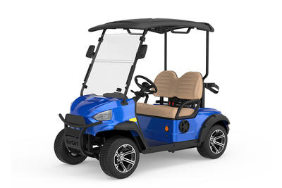Carro de golf eléctrico C2